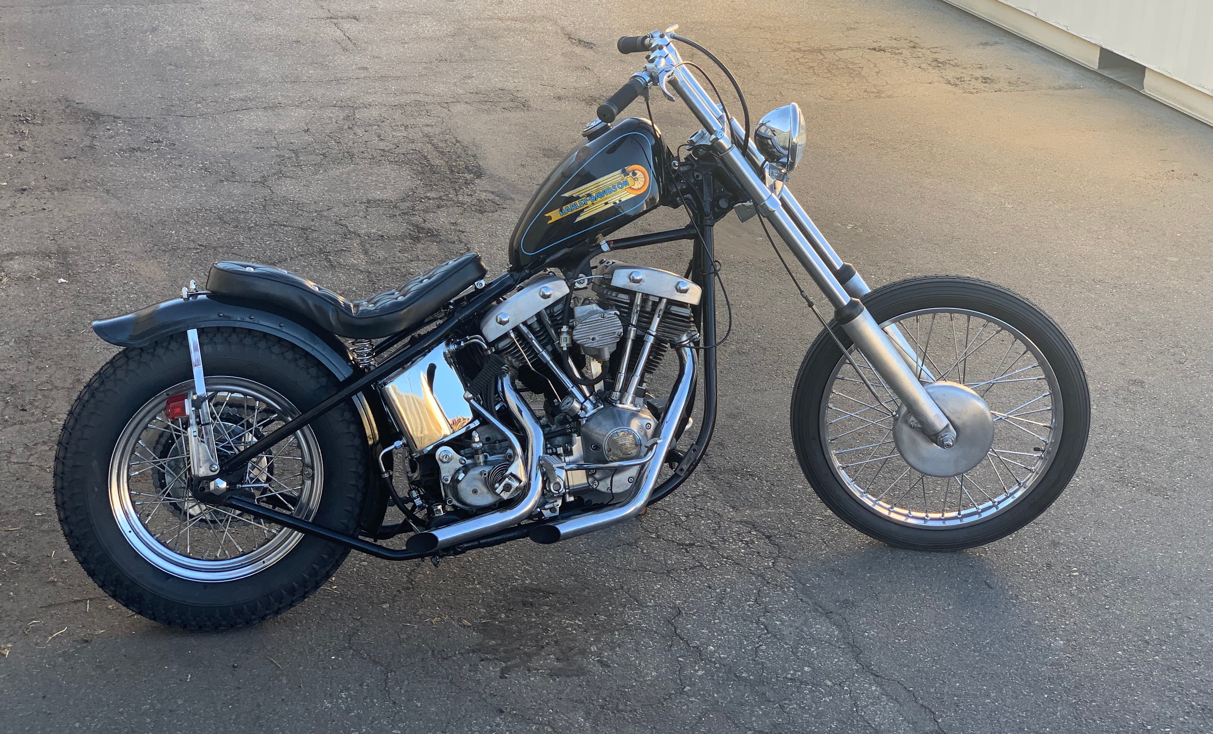 Hawgs | Cycle Zombies